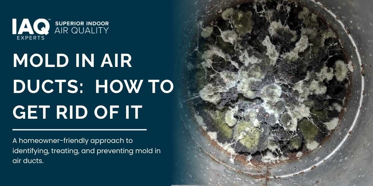 Mold in Air Ducts How to Get Rid of It