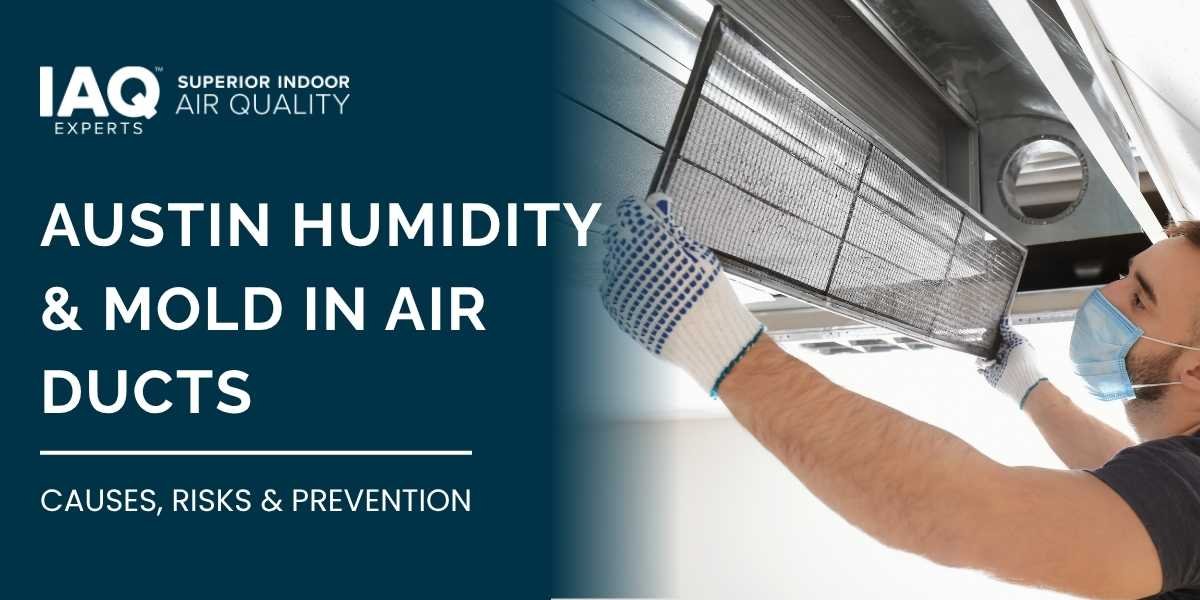 Austin Humidity & Mold in Air Ducts